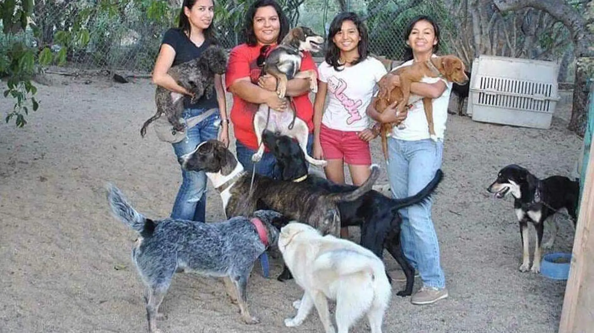 El Ranchito refugio perros 1